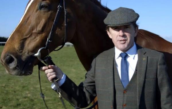 конь в твидовом костюме тройке, конь в костюме тройке