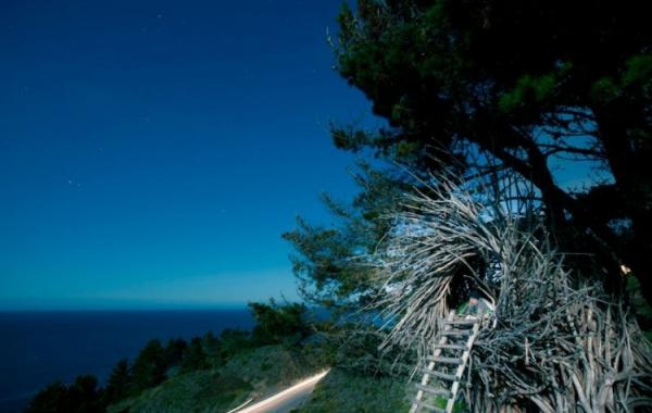 Джейсон Фанн гнёзда для людей