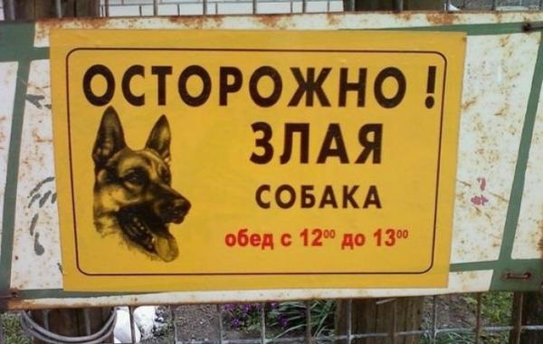 маразмы объявления смешные надписи прикол