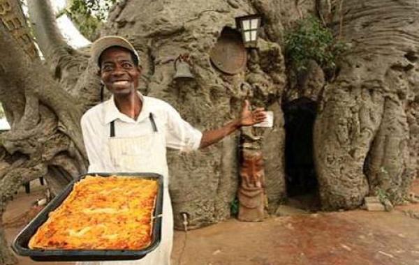 Добро пожаловать в баобаб ресторан в дереве 