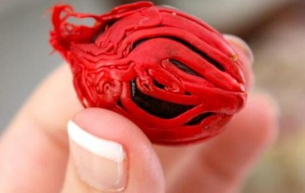 Необычные семена и растения, которые из них вырастают