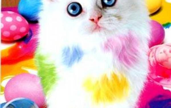 Позитивные картинки, яркое