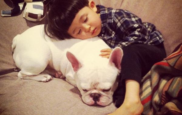 Тасуку Muu  мальчик и бульдог Япония