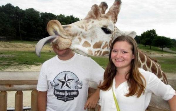 Животные-проказники, которые не вовремя влезли в кадр