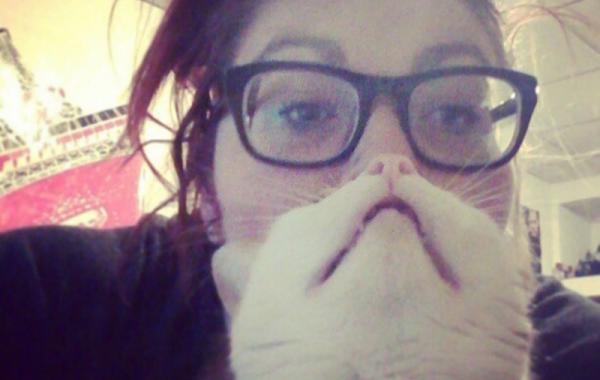 кот борода борода из кота кошачья борода