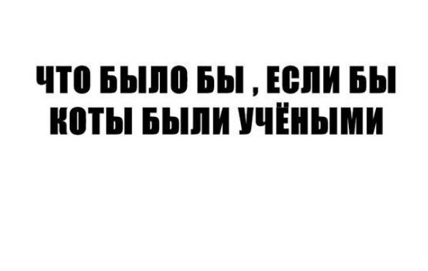 Что было бы, если бы коты были учеными?