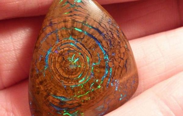 Редчайший деревянистый опал цеазит в 23,5