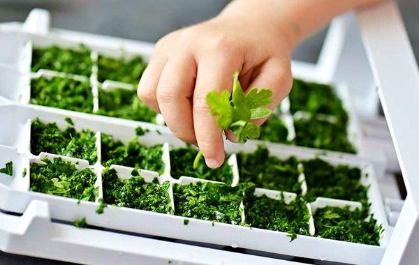 продукты которые можно замораживать, продукты которые не боятся холода