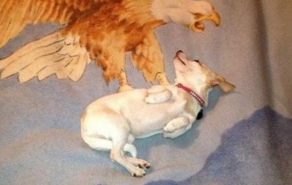 показалось фотоиллюзии 