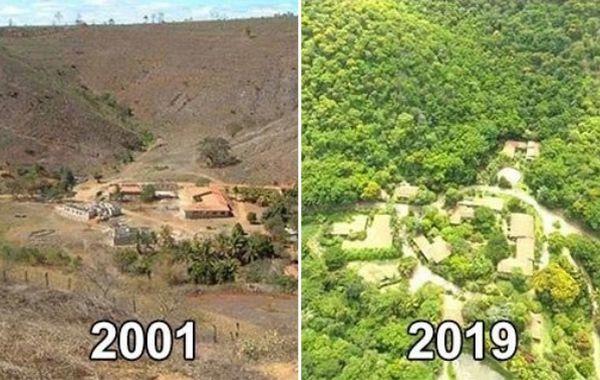 Пара посадила деревья. Восстановление леса Бразилии. Засаженный лес в Бразилии. Бразильская пара вырастила лес. Семейная пара из Бразилии посадила 2 миллиона деревьев за 20 лет.