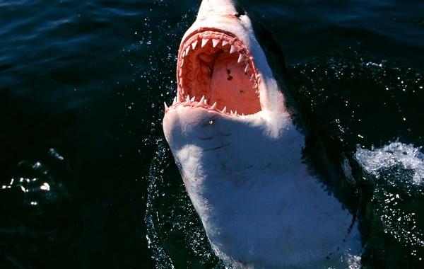 вещи которые не так опасны, не опасные вещи