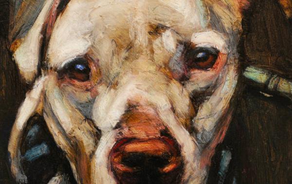 mark barone,An Act of Dog, портреты бездомных собак, обречённых на смерть