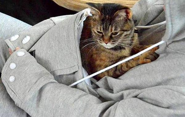 Толстовка с карманом для кошки, Mewgaroo, Unihabitat