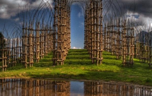 Лесной  "собор" в Италии