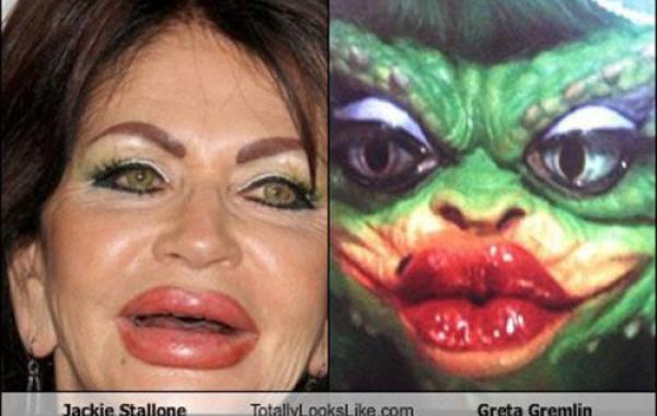 фото сходства двойники звёзд likeness