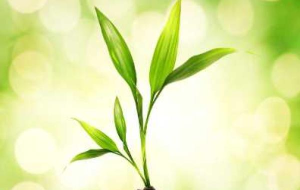 Необычное приключение зернышка