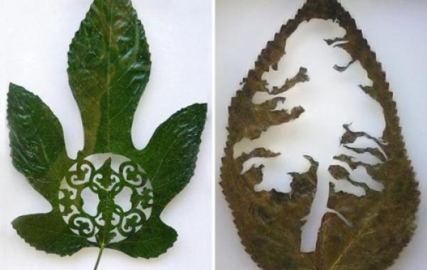 Резьба по листьям от испанского художника Лоренцо Дюрана