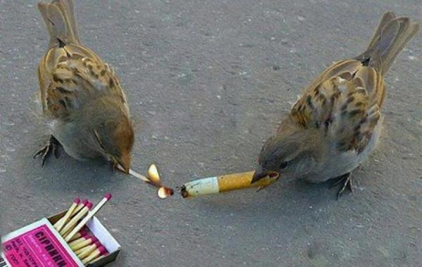 снимки не поддающиеся объяснению