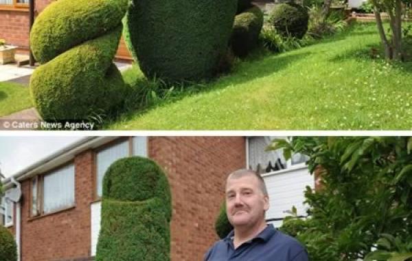 Противоречивые украшения для лужаек перед домом, вызвавшие ожесточённые споры