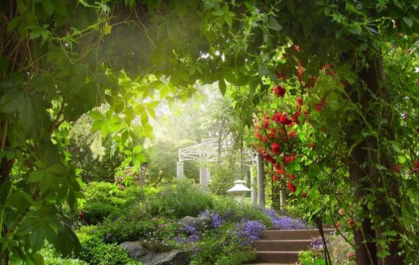 Сочная подборка летних фотографий