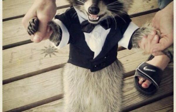 Истории людей совершивших добрые поступки, добро