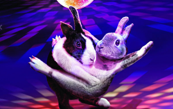 Календарь «Танцующие зайчики-2012″