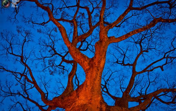 Колумбия в фотографиях