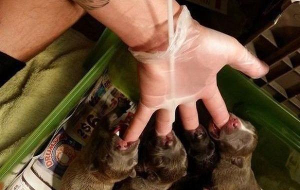 фотогарфии достойные внимания, трогательные фото, снимки до глубины души