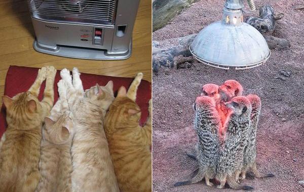 /files/styles/large/public/images/20151004113922.jpg?itok=YISKe5cJ