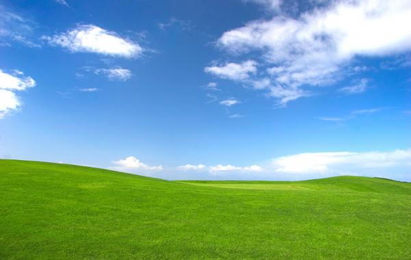 Как сейчас выглядит место, где была снята самая популярная заставка Windows