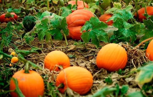 Сможете ли вы найти моделей на этих фотографиях, Metamorphosis, Метаморфозы