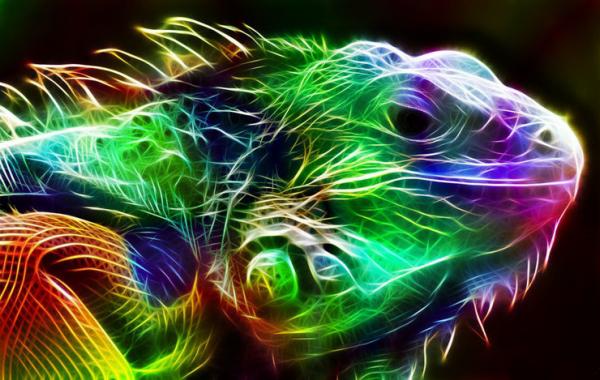 Фрактальные образы животных