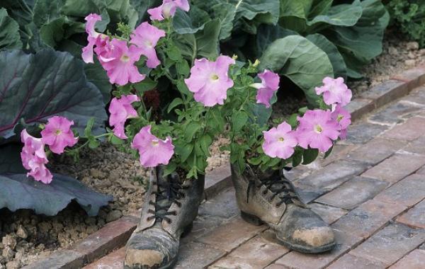 Украшения дач, дизайн, идеи, фото