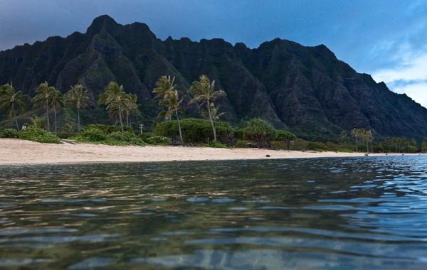 Полетели на Гавайи!