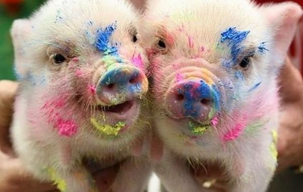 Хорошего дня, позитив