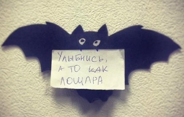 Смешные надписи и объявления,маразмы