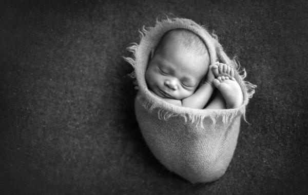 младенцы Керри Сандовал carrie sandoval дети 