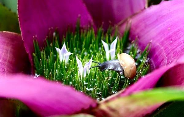National Geographic Nature Photographer of the Year, фотограф дикой природы 2016