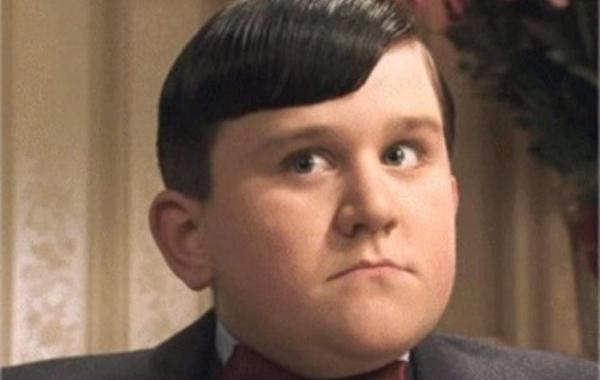 Как выглядит брат Гарри Поттера, Дудли Дурсль