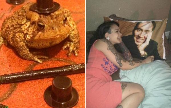 пьяные покупки в интернете, люди сделали покупки в интернете пьяными