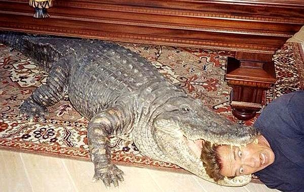 Исторические кадры, редкие архивные фотографии, исторические события, редкие фото звёзд