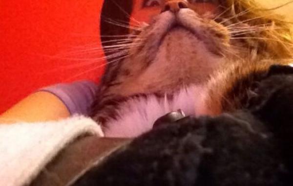 Смешное фото, в нужный момент подборка