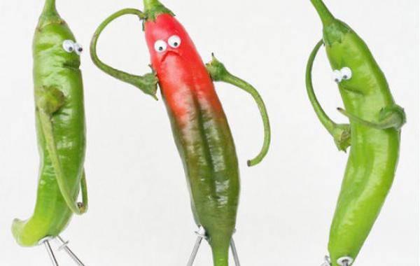 Весёлые сценки из жизни еды