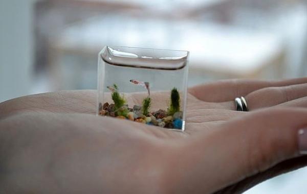 Необычные аквариумы