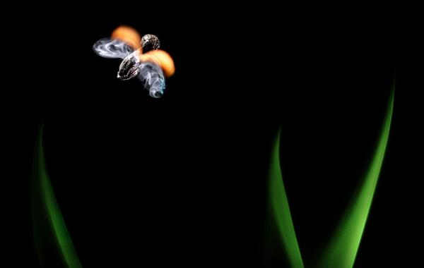 Поразительные картины из горящих спичек