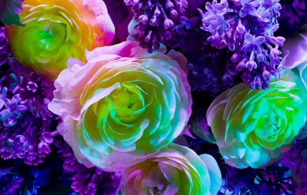 электрический цветок Electric Blossom Торкил Гуднасон