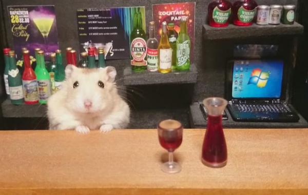 Hamster Bartenders, хомяки бармены, Kawanabesatou
