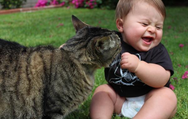 очаровательные забавные малыши