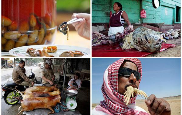 Самые жуткие блюда из разных стран