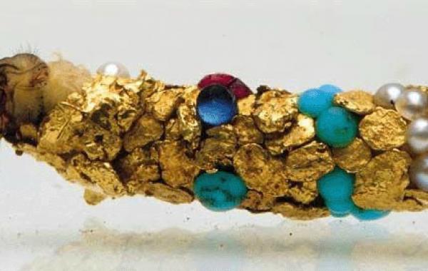 ручейник дом 